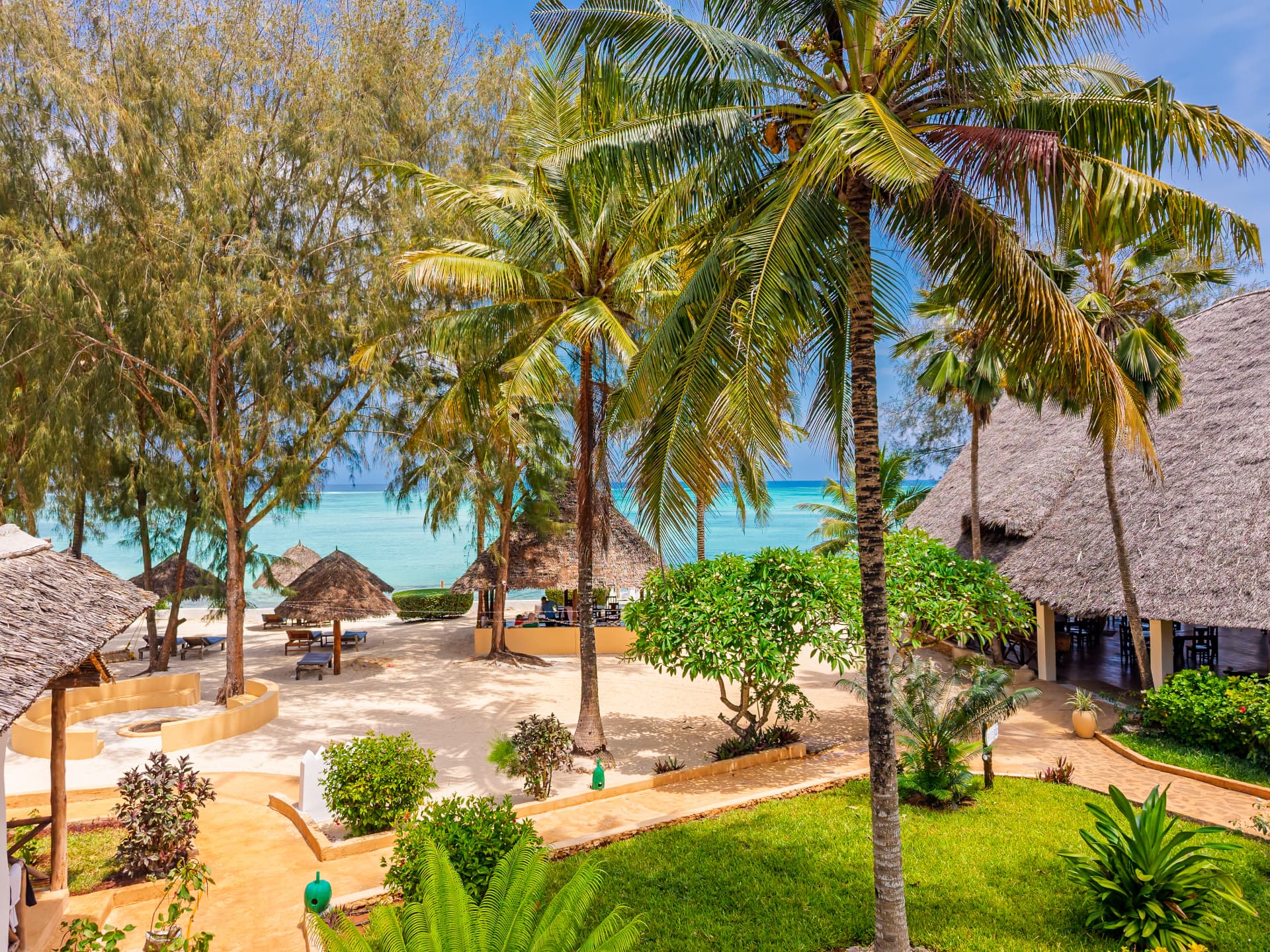 Palms framing the beach and thatched pavilions