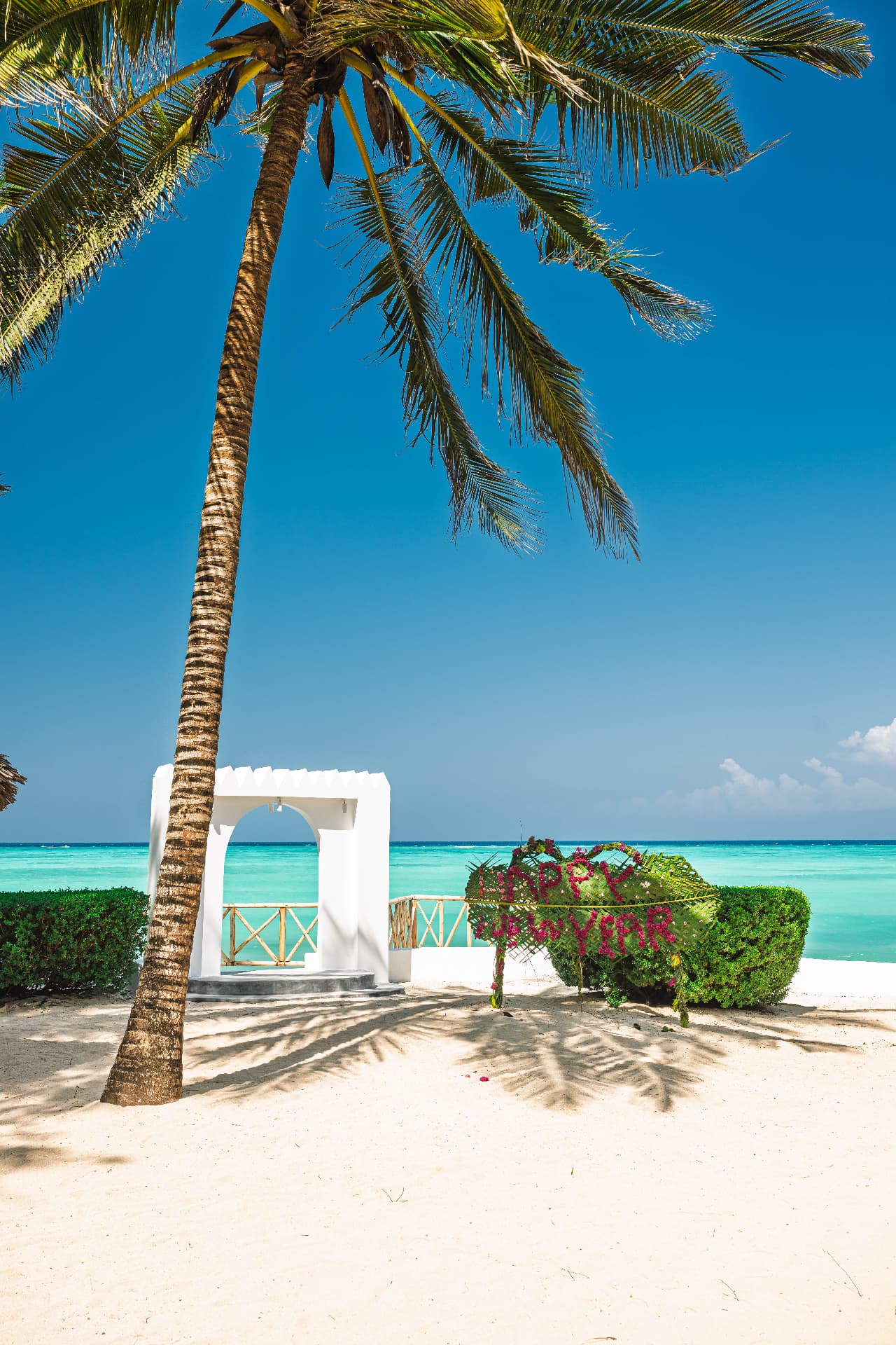 Ocean view through the palms