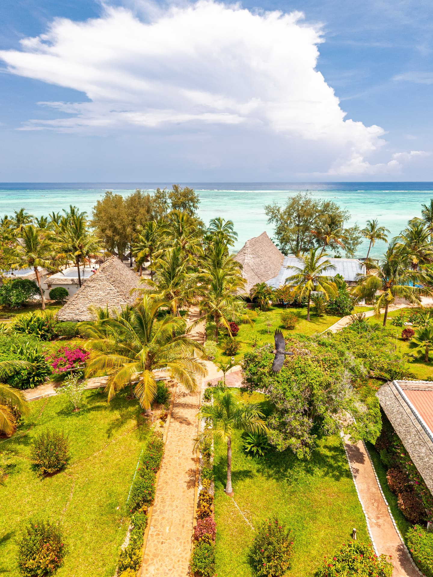 Resort gardens from above, with the lagoon beyond